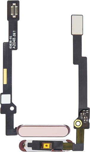 IPad mini 6 2021 tecla de impressão digital branca